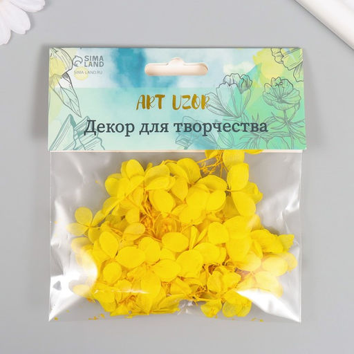 Сухоцвет «Гортензия», жёлтый, h=6-6.5 см