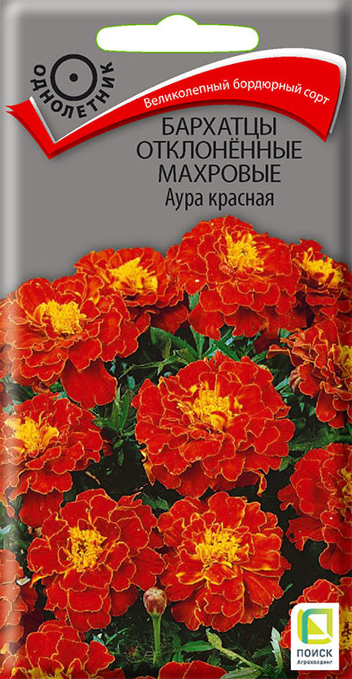 Бархатцы отклоненные махровые (Тагетес отклонённый) Аура красная ( ЦВ) (1) 0,4гр. - Поиск фото 2