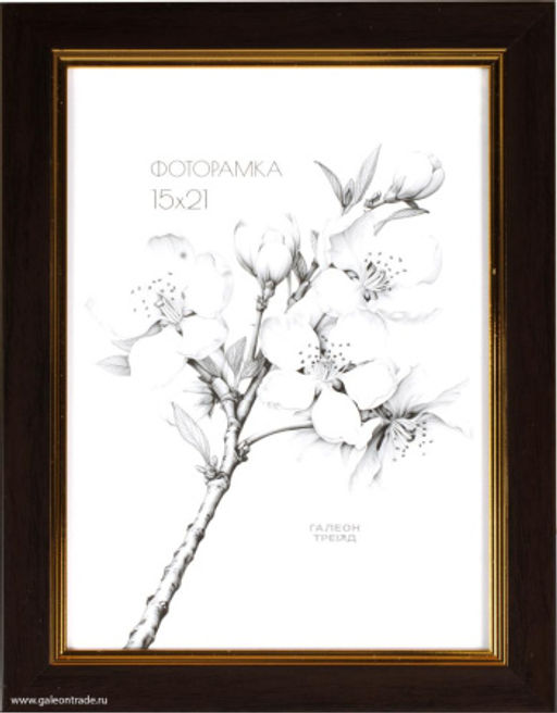 Фоторамка 15x21 / 2001В-002A1 /уп10