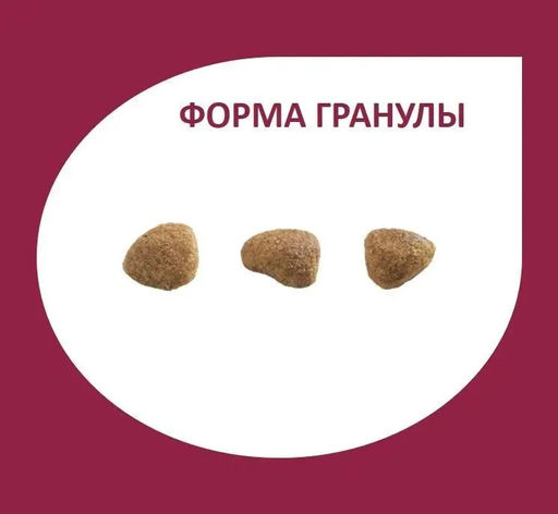 Скидка 50%!!! Гранплюс сухой корм для стерилизованных кошек лосось и цыпленок 10,1кг - Granplus фото 2