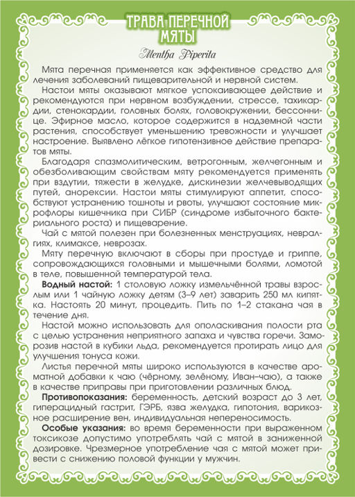 2 шт. Мята перечная (лист) - Мариславна фото 3