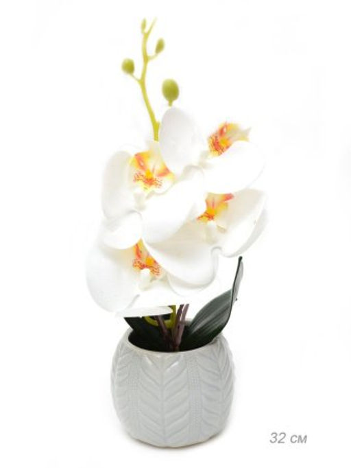 Цветочная композиция Орхидея 32 см / 0213-143 /уп 36/ - Галеонтрейд фото 2