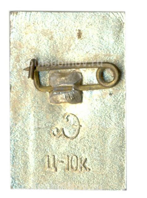 Значок Петродворец