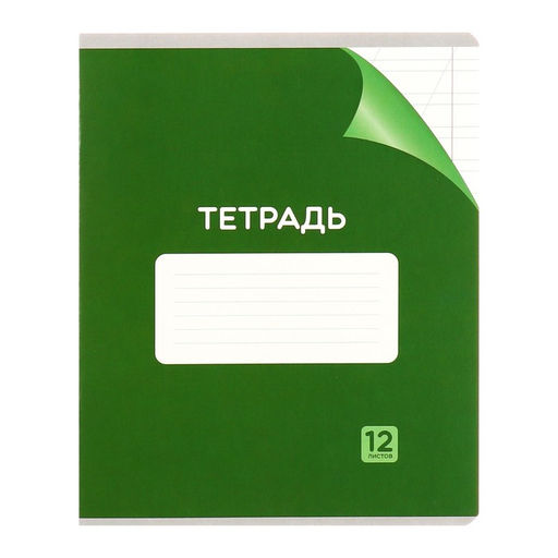 Комплект тетрадей из 10 штук 12 листов в косую линейку Однотонная Классика с уголком, обложка мелованный картон, ВД-лак, блок №2 (серые листы) - Calligrata фото 6