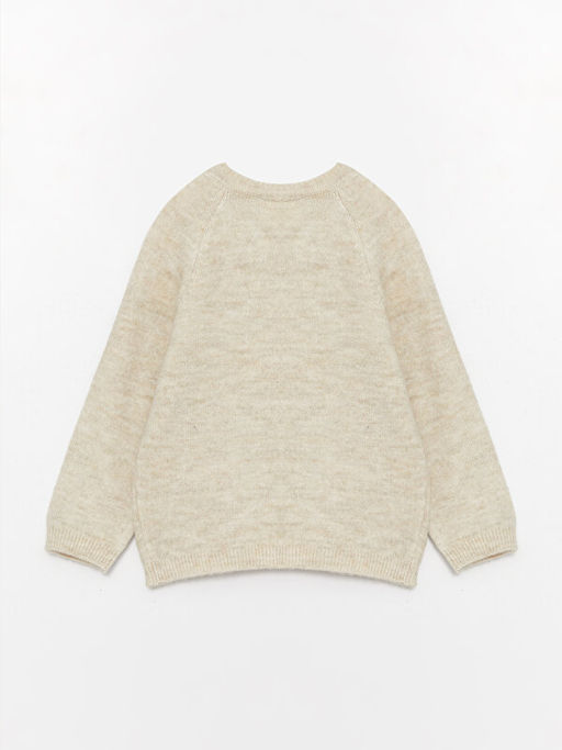 Bisiklet Yaka Uzun Kollu Erkek Bebek Triko Kazak - Waikiki фото 2