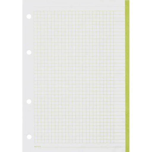 Сменный блок для тетрадей на кольцах, BeSmart А5 120л клетка Цветной N001d