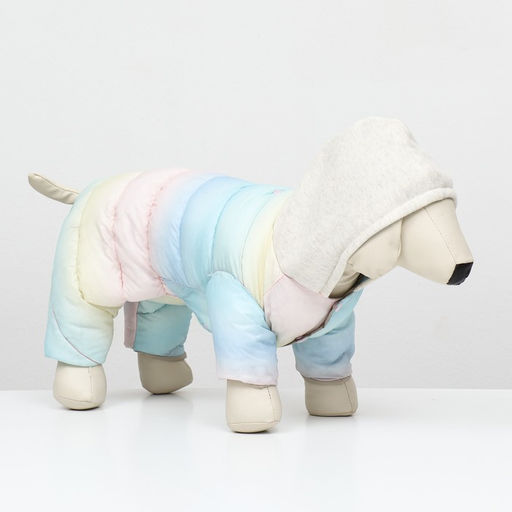 Комбинезон Для прогулки, размер 14 (ДС 28 см, ОГ 42 см, ОШ 31 см), пастельный - Simaland фото 3