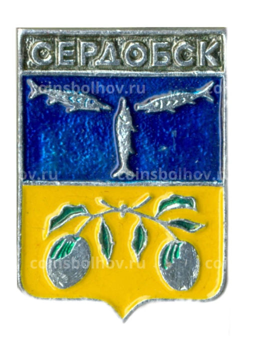 Значок Сердобск