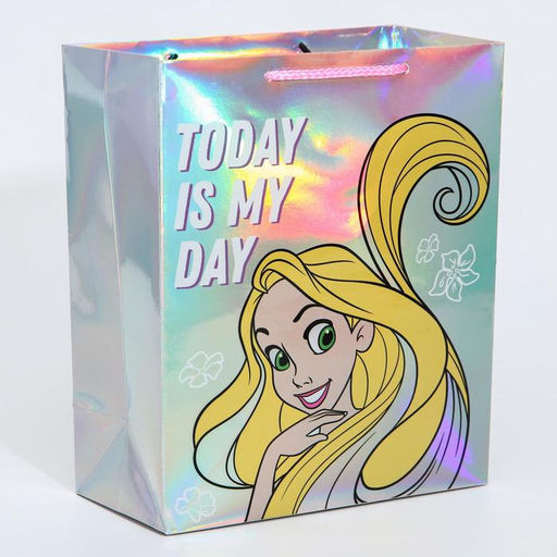 Пакет голография, горизонтальный, 25 х 21 х 10 см Today is my day, Принцессы - Disney фото 4