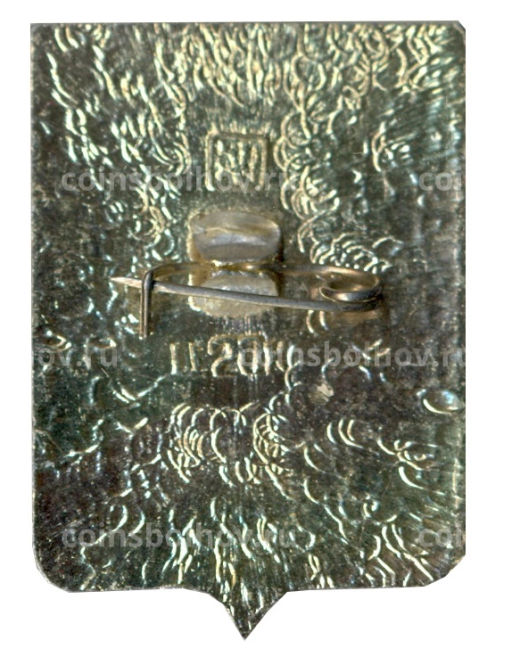 Значок Слоним