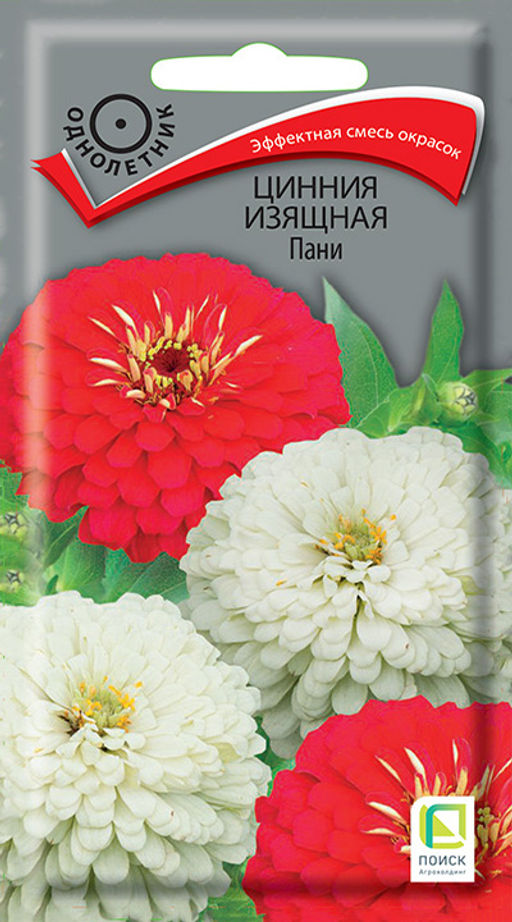 Цинния изящная Пани (ЦВ) (1) 0,4гр. - Поиск фото 2