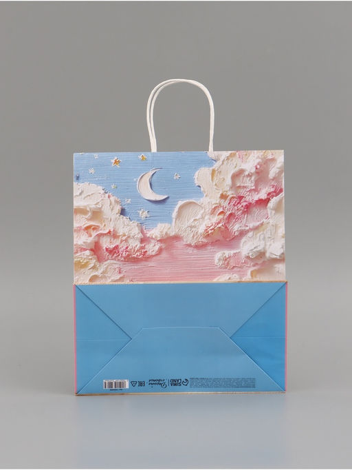 Цена за 2 шт. Пакет подарочный «Мечтай», 28 х 32 х 15 см