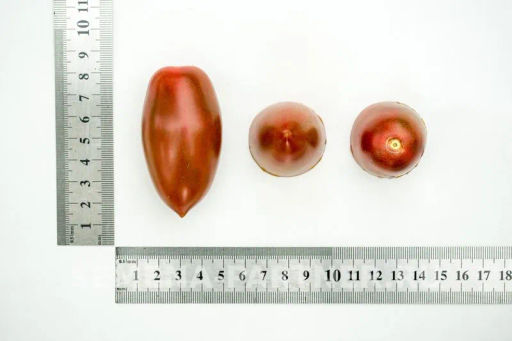 Томат Черри Дюкре - Партнер фото 5