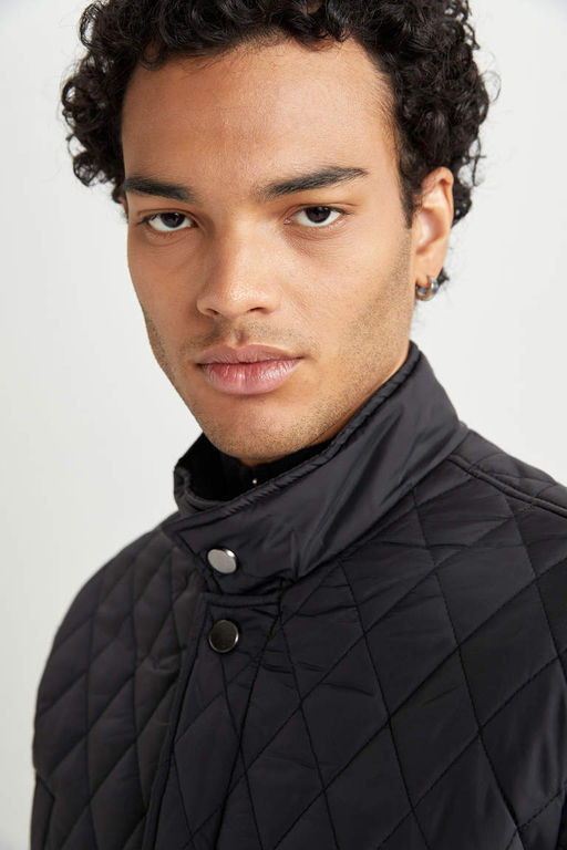 Стеганое пальто приталенного кроя с воротником-стойкой - Defacto фото 5