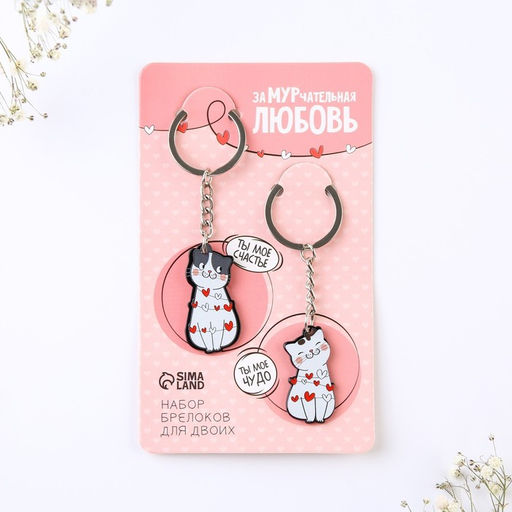 Цена за 2 шт. Брелок для ключей парный «ЗаМУРчательная любовь», акриловый, 13.3×8