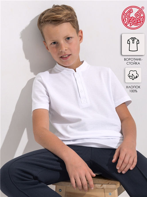 Футболка-поло 1ПДПК4489090