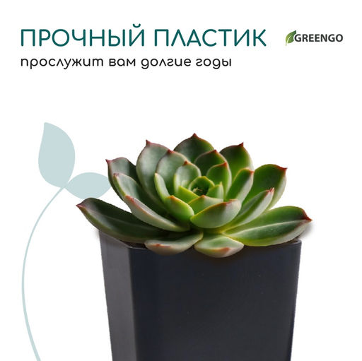 Цена за 20 шт. Горшок для рассады, 600 мл, 8×8×15 см, пластик, МИКС, Greengo
