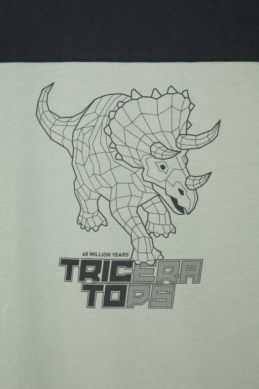 Футболка для мальчика Crockid КР 302159-1 из хлопка комбинированная  фото 5