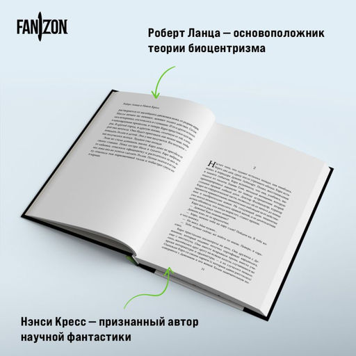 Наблюдатель
