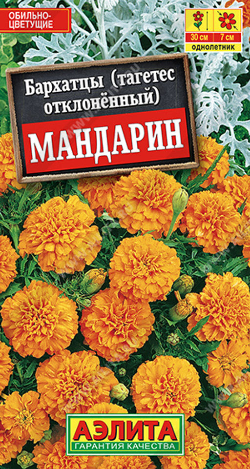 Бархатцы Мандарин отклоненные (2028)