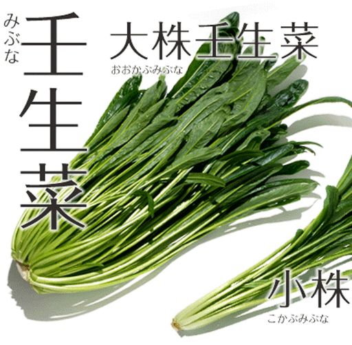 Зелень Мибу — Мибусаи — Мибуна (壬生菜)