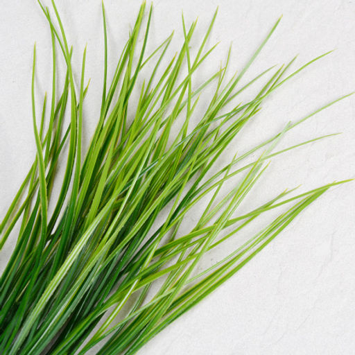 Зелень искусственная Осока 45 см / ZJ3164 /уп 2/400/1500/ - Галеонтрейд фото 7