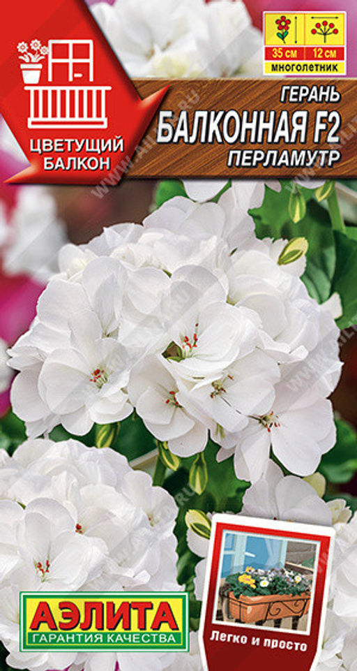 1398A Герань Балконная перламутр F2 5шт