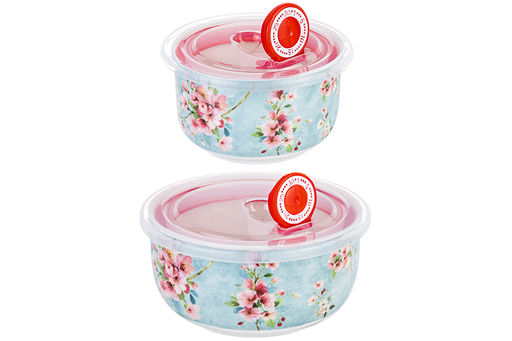 Набор 2 салатников 560 мл 13*13*6,5 см + 260 мл 10,5*10,5*6 см Яблоневый цвет на голубом без зол.к - Elan gallery фото 7