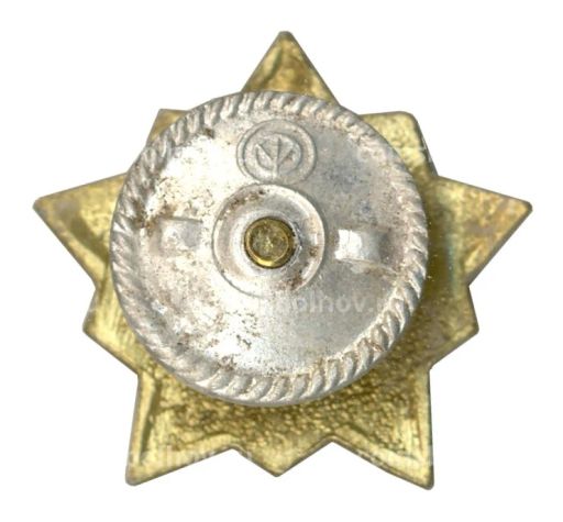 Значок Воин-спортсмен II ступень