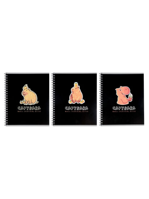 Набор тетрадей Calligrata. Capy, 3 штуки, 80 листов, на гребне, обложка из мелованного кратона