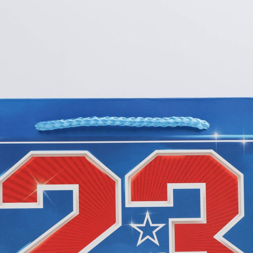 Цена за 3 шт. Пакет подарочный ламинированный, упаковка, «23 февраля», ML 23×27×11.5 см