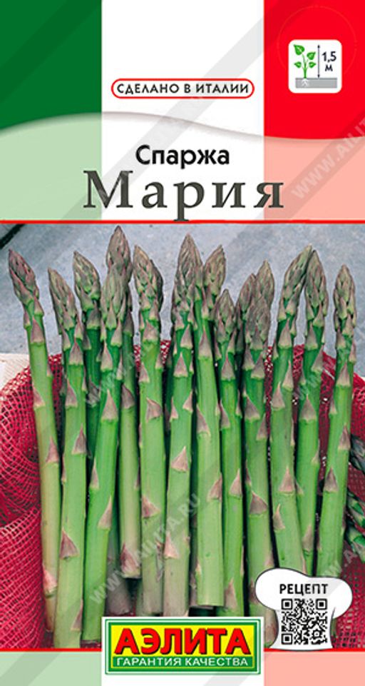 Спаржа Мария (2026)