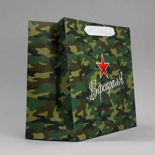 Цена за 2 шт. Пакет подарочный ламинированный, упаковка, С 23 февраля, ML 27?23?11.5 см