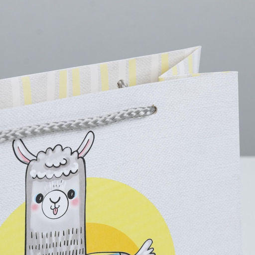 Пакет подарочный Веселье, 19,5 14,5 8,5 см - Дарите счастье фото 8