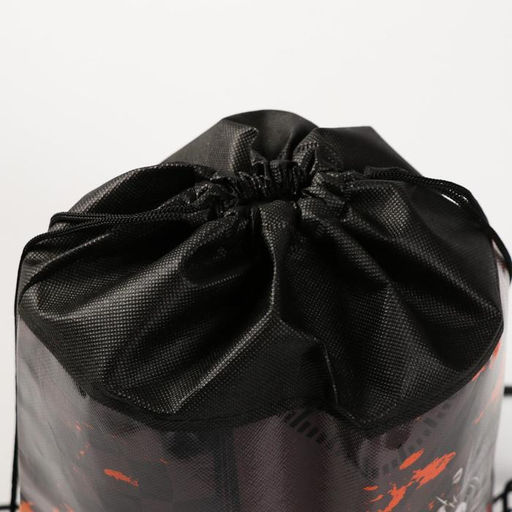 Сумка для обуви Мотоцикл,непромокаемое полотно 43х33х0,5 см - Artfox study фото 4