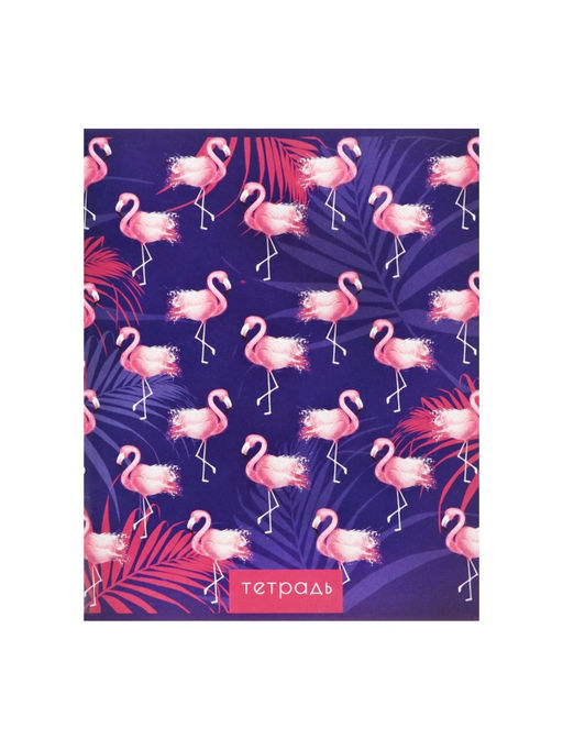 Набор тетрадей, 96 листов в клетку, Calligrata «Фламинго», 4 штук