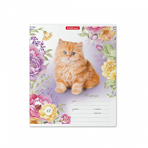 Цена за 280 шт. Тетрадь школьная ученическая ErichKrause Мурзики, 12 листов, клетка (в плёнке по 10 шт.)  фото 16