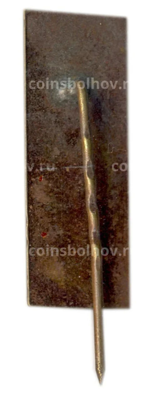 Значок Пирчюпис