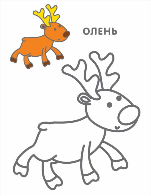 Самые первые раскраски. 3+ - Робинс фото 3