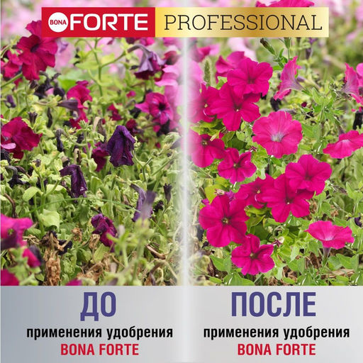 Компл. мин. удобр. "Bona Forte" Для петуний и бегоний с биодост.кремнием гранул.пролонгир., ведро 1л