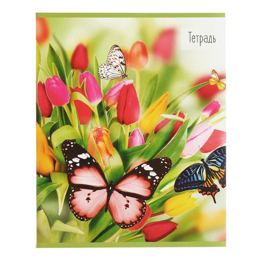 Набор тетрадей 36 листов в клетку, Calligrata «Бабочки», серые листы, 5 штук