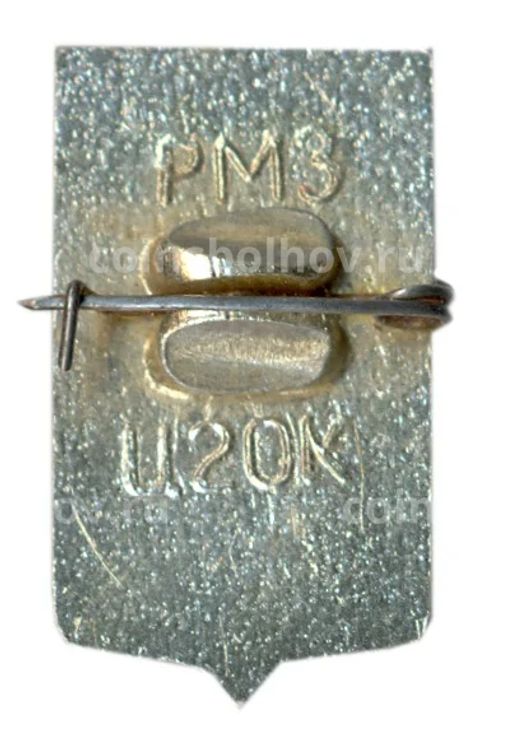 Значок Ростов