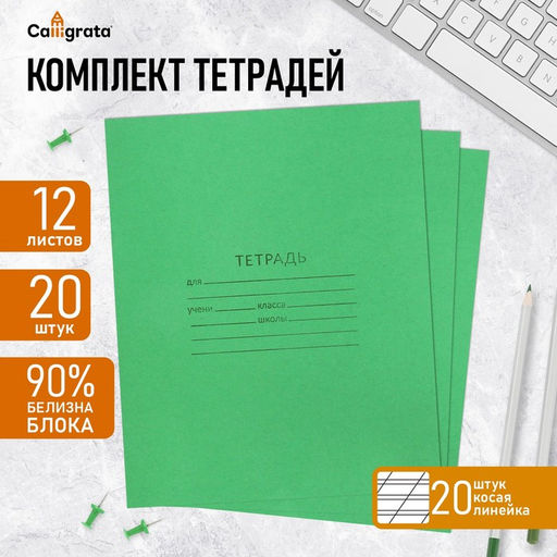 Набор тетрадей 12 листов в косую линейку «Зёленая обложка», 20 штук