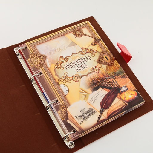 Родословная книга "Книга нашей семьи", красн., 31 х 22 см