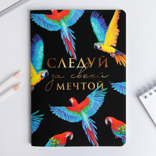 Цена за 2 шт. Блокнот А5, 48 л., в точку, обложка софт-тач Следуй за своей мечтой