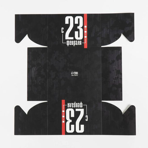 Цена за 5 шт. Коробка для капкейков, кондитерская упаковка с пластиковой крышкой, 4 ячейки 23 февраля, 16?16?10 см