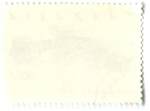 Марка Афиосемион южный 1991 год Танзания