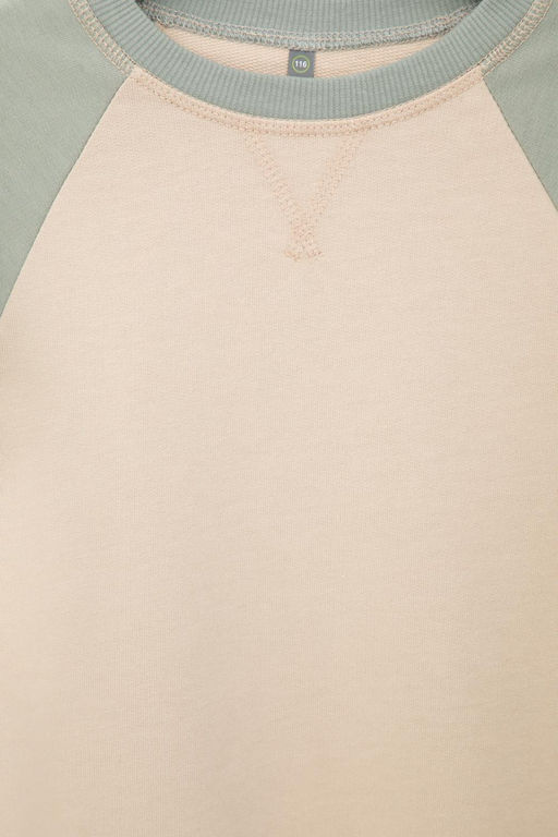 КР 302161-1/темно-бежевый джемпер (свитшот) для мал