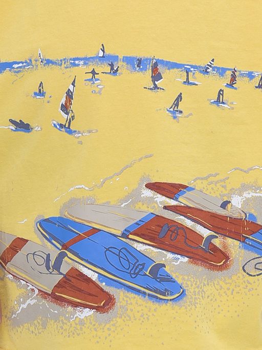 Pelican BFT3321/5 футболка для мальчиков  фото 4