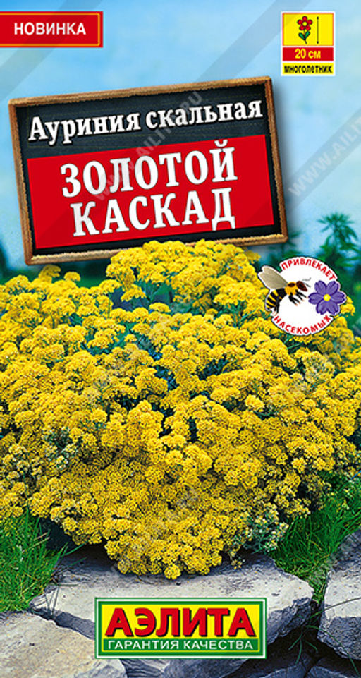 Ауриния скальная Золотой каскад